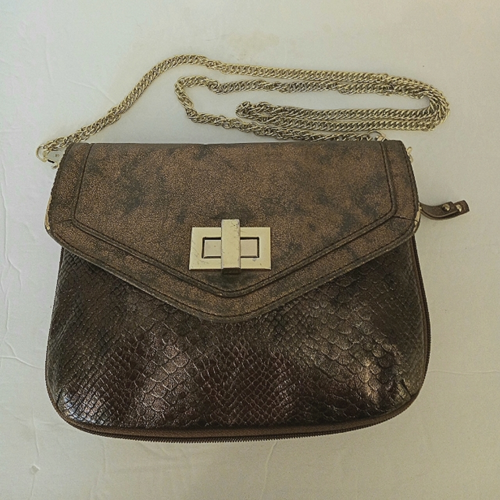 Danielle Nicole clutch crossbody bronze metallic reptile texrure chain s…